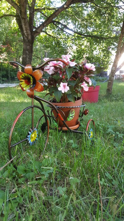 Le Saule Reveur Panzió Die Kültér fotó